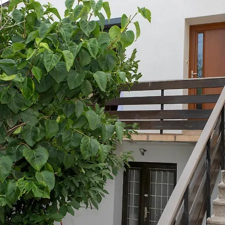 Blue Home Roanne Exterior foto